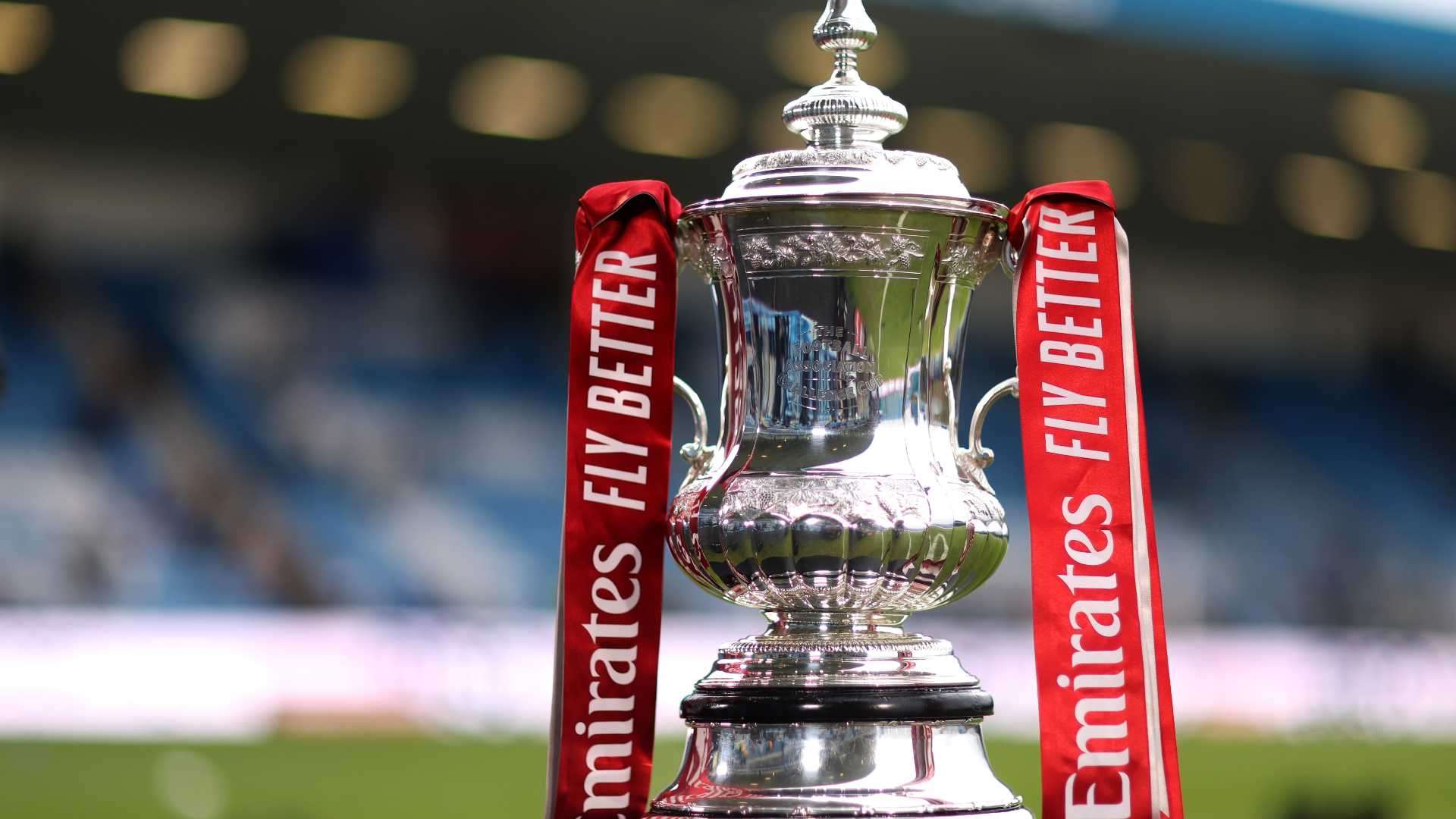 供了新的视 供了新的视