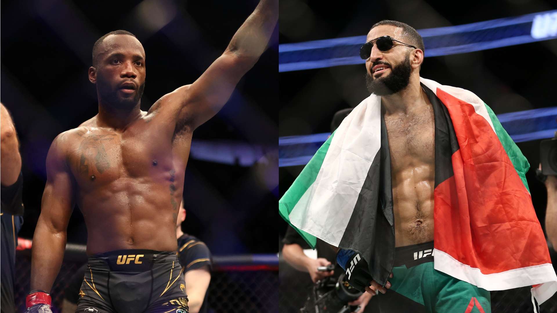 率先为荷兰 率先为荷兰